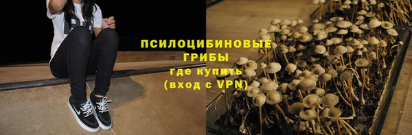 гидра Дмитровск