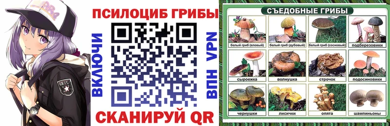 Купить  Лихославль  Галлюциногенные грибы MAGIC MUSHROOMS 